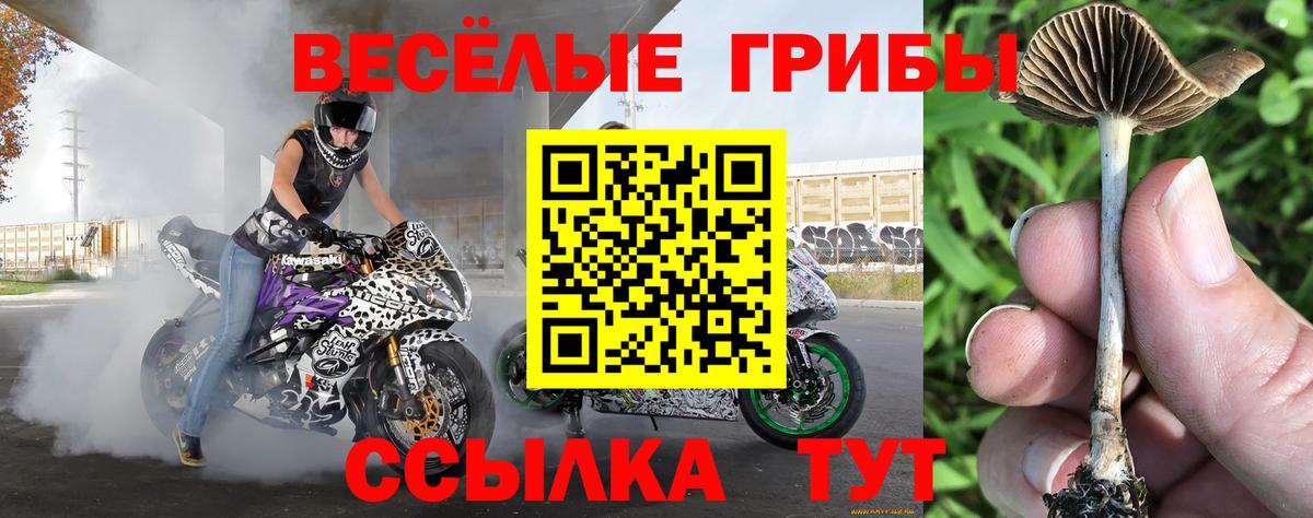 Галлюциногенные грибы MAGIC MUSHROOMS Балашов