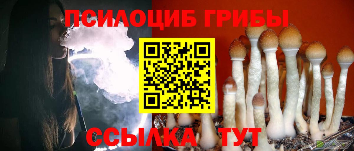 Галлюциногенные грибы Psilocybine cubensis  Вход с VPN  Балашов  Псилоцибиновые грибы Cubensis 