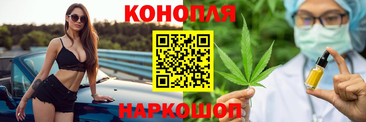 Бошки Шишки планчик Балашов